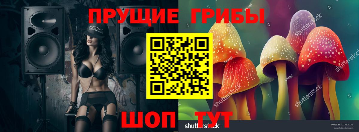 Кизляр  закладки  Вход с VPN  Галлюциногенные грибы мицелий 